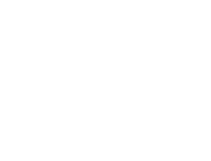 WiFi Icon